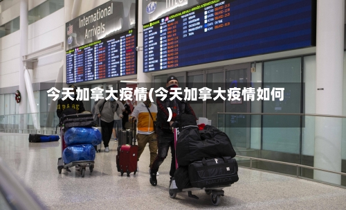 今天加拿大疫情(今天加拿大疫情如何)-第2张图片