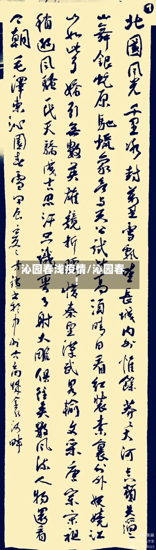 沁园春浅疫情/沁园春!