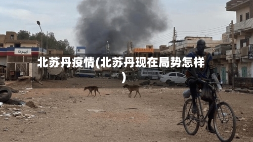 北苏丹疫情(北苏丹现在局势怎样)-第3张图片