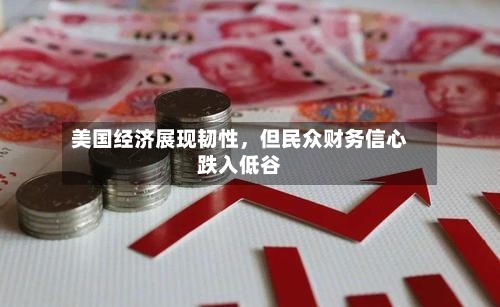 美国经济展现韧性，但民众财务信心跌入低谷