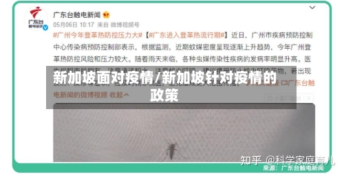 新加坡面对疫情/新加坡针对疫情的政策