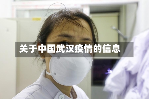 关于中国武汉疫情的信息-第2张图片