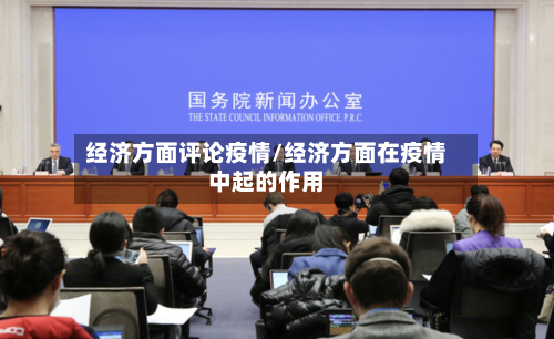 经济方面评论疫情/经济方面在疫情中起的作用