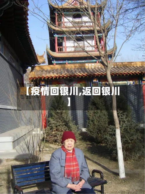 【疫情回银川,返回银川】