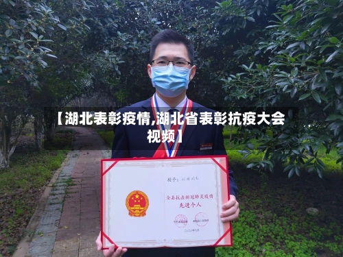 【湖北表彰疫情,湖北省表彰抗疫大会视频】