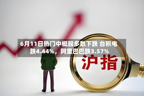 6月11日热门中概股多数下跌 台积电跌4.44%	，阿里巴巴跌3.57%-第3张图片