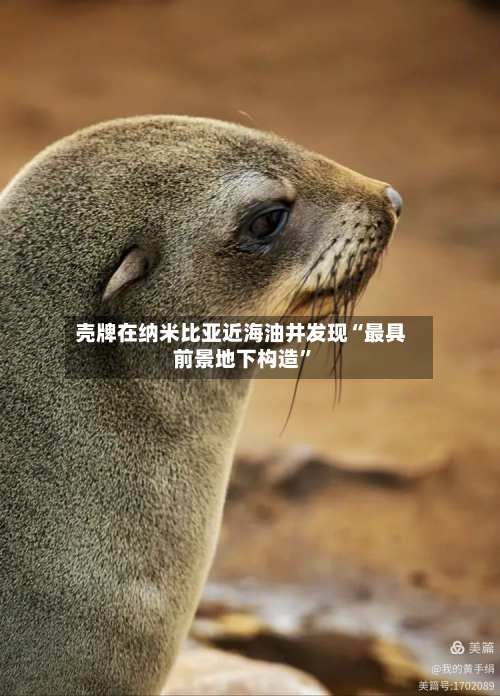 壳牌在纳米比亚近海油井发现“最具前景地下构造”-第2张图片