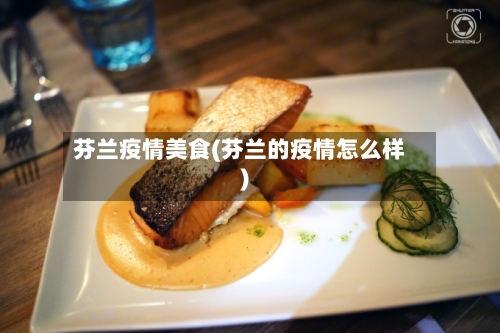 芬兰疫情美食(芬兰的疫情怎么样)-第2张图片