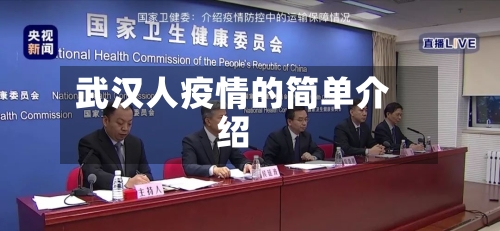 武汉人疫情的简单介绍