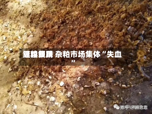 豆粕费用继续领跌 杂粕市场集体“失血	”-第2张图片