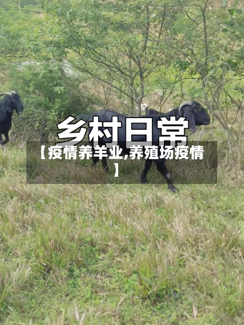 【疫情养羊业,养殖场疫情】-第2张图片
