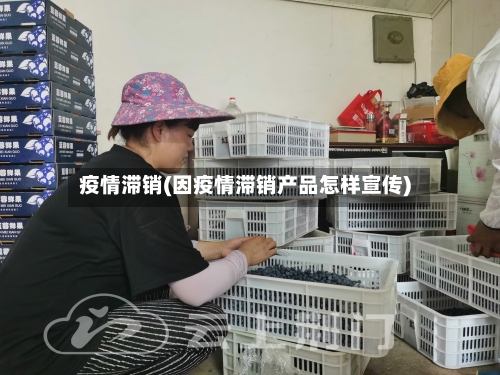 疫情滞销(因疫情滞销产品怎样宣传)-第3张图片