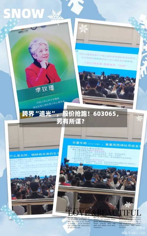 跨界“追光”，股价抢跑！603065	，另有所谋？-第3张图片