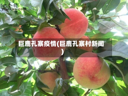 巨鹿孔寨疫情(巨鹿孔寨村新闻)