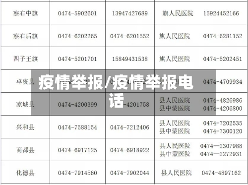 疫情举报/疫情举报电话-第2张图片