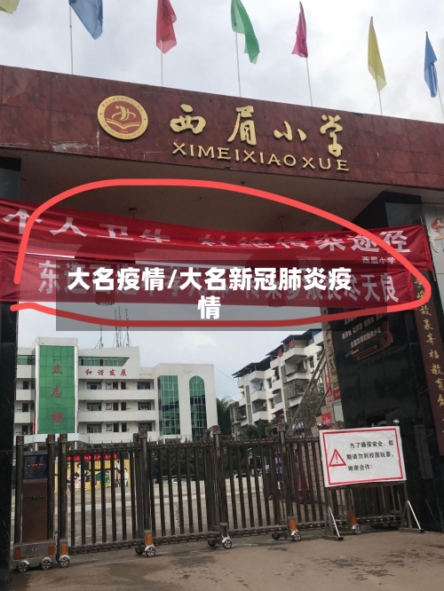 大名疫情/大名新冠肺炎疫情