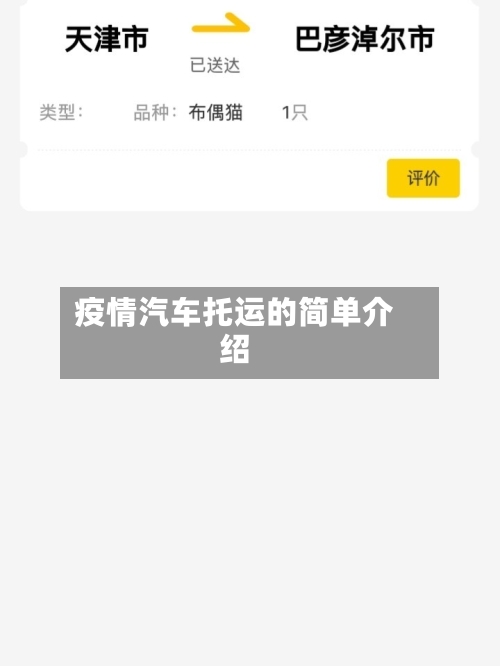 疫情汽车托运的简单介绍
