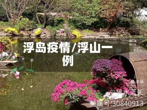 浮岛疫情/浮山一例-第2张图片