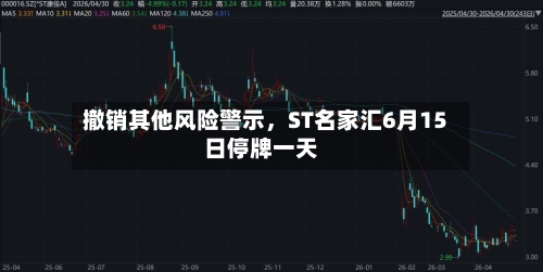 撤销其他风险警示，ST名家汇6月15日停牌一天-第3张图片