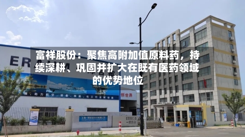 富祥股份：聚焦高附加值原料药，持续深耕、巩固并扩大在既有医药领域的优势地位-第2张图片