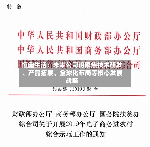 恒鑫生活：未来公司将聚焦技术研发、产品拓展、全球化布局等核心发展战略-第2张图片