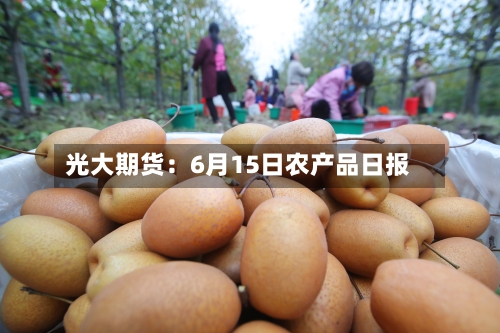 光大期货:6月15日农产品日报-第2张图片