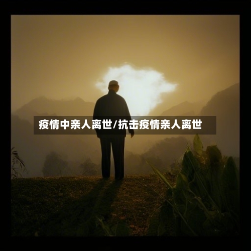 疫情中亲人离世/抗击疫情亲人离世-第3张图片