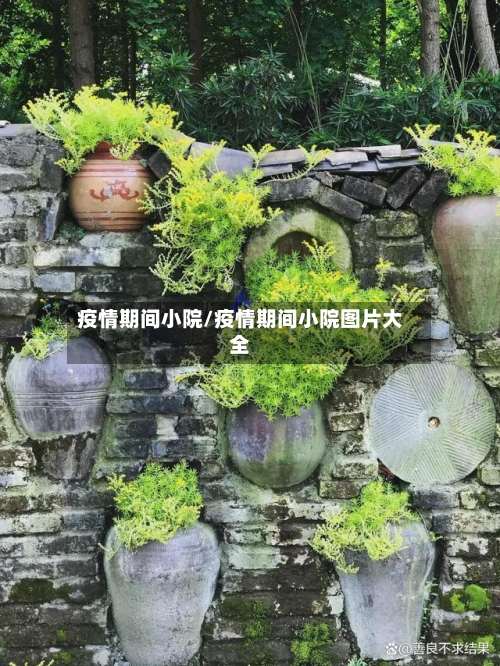 疫情期间小院/疫情期间小院图片大全