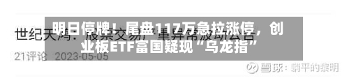 明日停牌！尾盘117万急拉涨停，创业板ETF富国疑现“乌龙指”