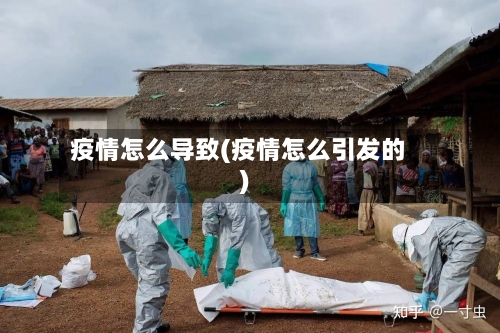 疫情怎么导致(疫情怎么引发的)-第2张图片