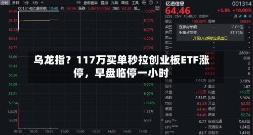 乌龙指？117万买单秒拉创业板ETF涨停，早盘临停一小时-第3张图片