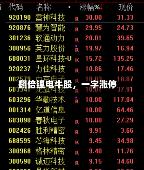 翻倍锂电牛股，一字涨停