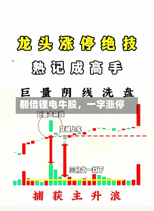 翻倍锂电牛股，一字涨停-第2张图片