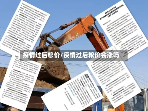 疫情过后粮价/疫情过后粮价会涨吗-第2张图片