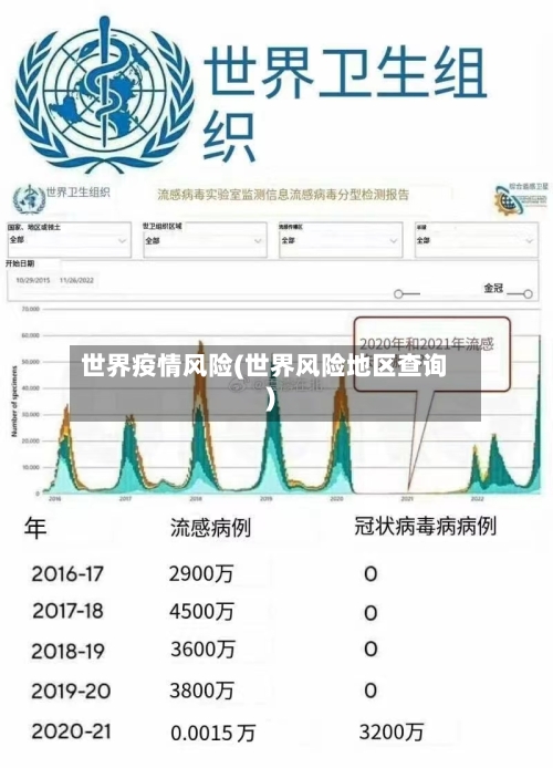 世界疫情风险(世界风险地区查询)