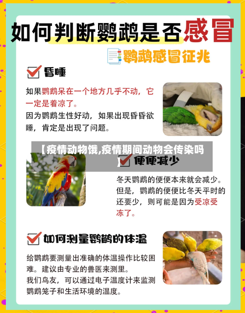 【疫情动物饿,疫情期间动物会传染吗】-第2张图片