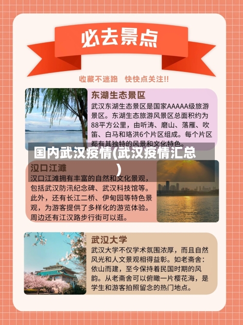 国内武汉疫情(武汉疫情汇总)