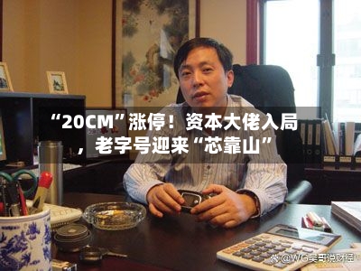 “20CM”涨停！资本大佬入局，老字号迎来“芯靠山	”-第2张图片
