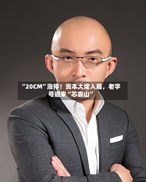 “20CM”涨停！资本大佬入局，老字号迎来“芯靠山”-第3张图片
