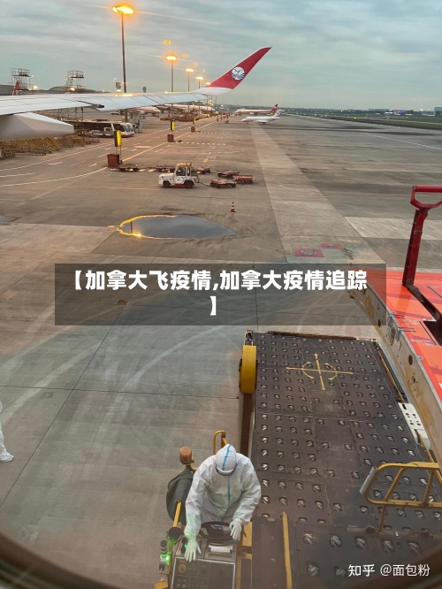 【加拿大飞疫情,加拿大疫情追踪】