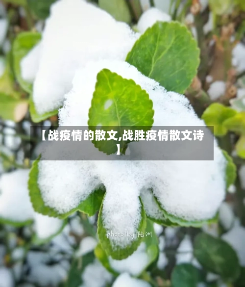 【战疫情的散文,战胜疫情散文诗】