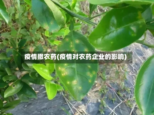 疫情撒农药(疫情对农药企业的影响)-第2张图片