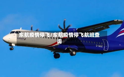 东航疫情停飞/东航疫情停飞航班查询-第2张图片
