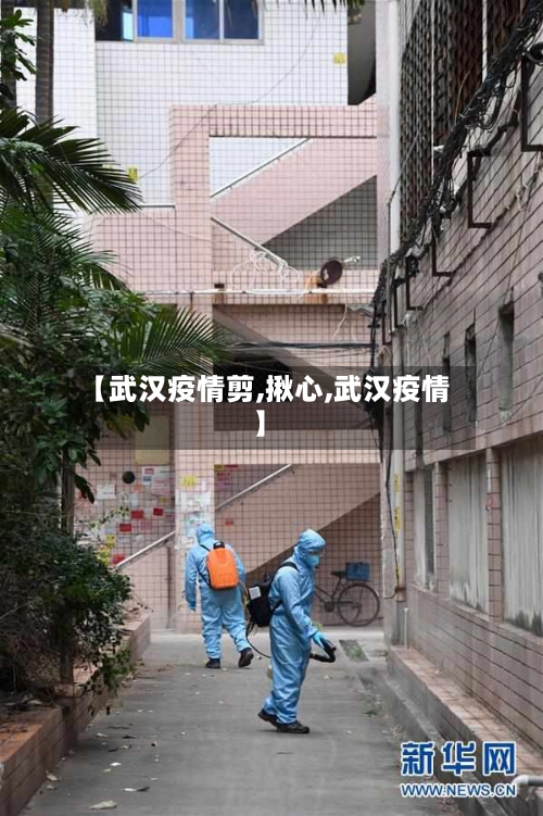 【武汉疫情剪,揪心,武汉疫情】-第2张图片