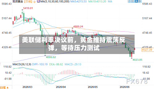 美联储利率决议前，黄金维持震荡反弹，等待压力测试-第3张图片