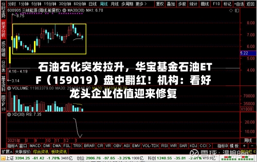 石油石化突发拉升	，华宝基金石油ETF（159019）盘中翻红！机构：看好龙头企业估值迎来修复-第2张图片