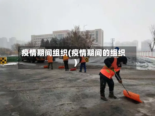 疫情期间组织(疫情期间的组织)