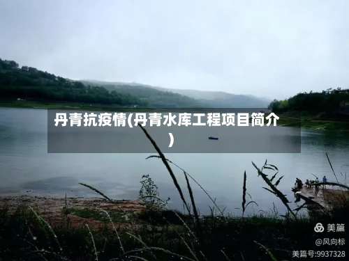 丹青抗疫情(丹青水库工程项目简介)-第2张图片