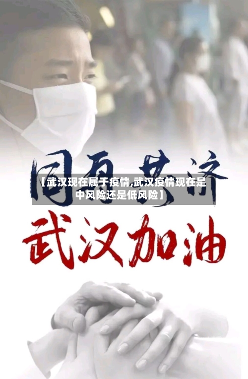 【武汉现在属于疫情,武汉疫情现在是中风险还是低风险】-第2张图片