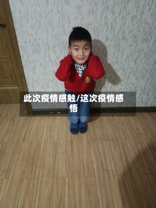 此次疫情感触/这次疫情感悟